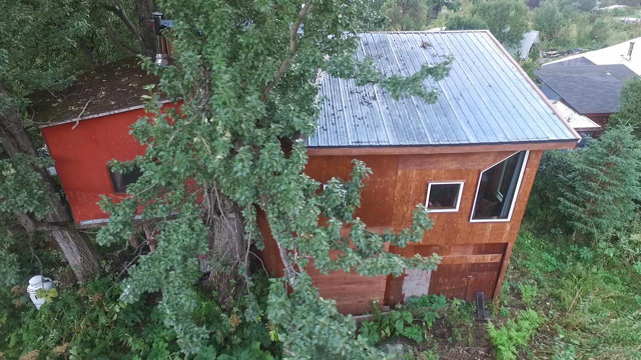 Cottonwood Cabins Fritz Creek Exterior photo